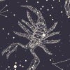 Zodiac_sky_constellations_shutterstock_1650852664.jpg