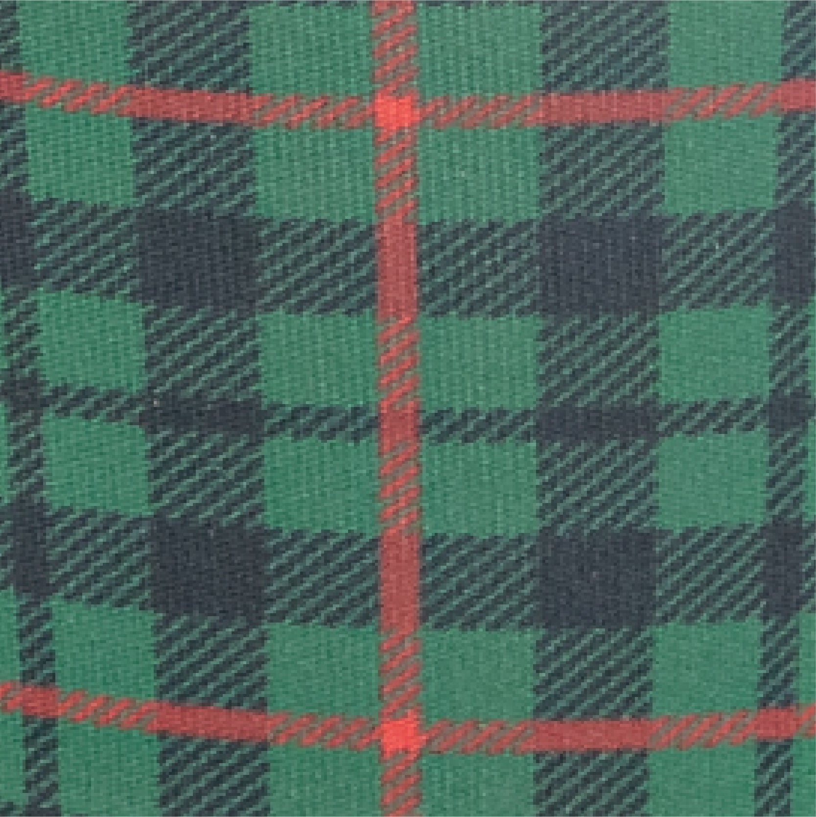 green_tartan_7af9e9e8-843b-4a6e-a831-555e6c4d0dc1.jpg